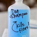 DIY Flea Deterrent Spray (Dogs)